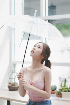 第八号当铺全集免费观看完整版